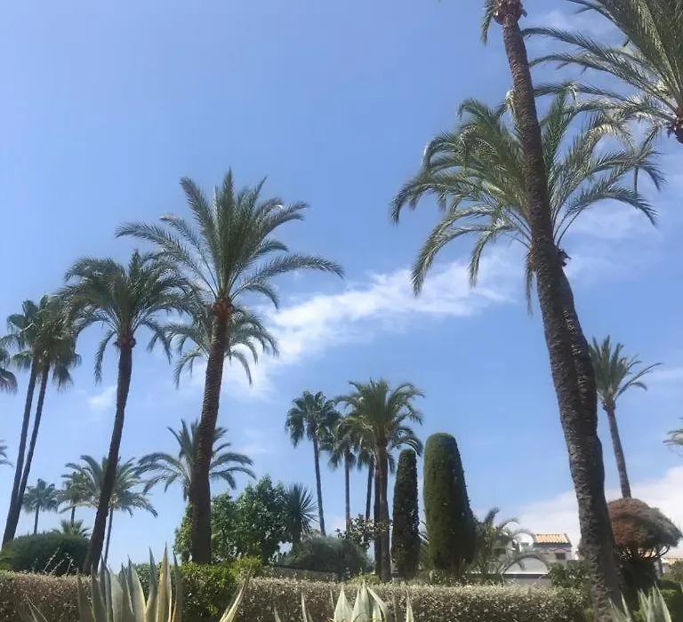 Dominion Beach Estepona-1